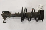 Front Strut Shock Nissan Maxima 16 17 18 20 Right 1335195. Fixed Price $134.99.