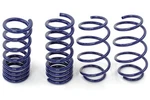 Steeda 555-8210 Sport Springs Mustang Progressive 2015+ GT/V6. Fixed Price $394.95.