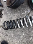 1953-1962 Corvette Ft. Coil Springs Std. Susp. Pair Gm# 3756540 Excellent Used.. Fixed Price $500.00.