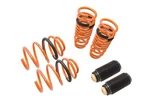 Megan Racing Lowering Springs For 09-16 Hyundai Genesis Coupe 2.0T / 3.8 V6. Fixed Price $194.55.