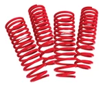 SKUNK2 Lowering Springs For 02-04 Acura Rsx (2.25IN 2.00IN.) (set Of 4). Fixed Price $229.99.