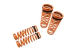 Megan Racing Lowering Coils Springs For Honda Accord 1990-1997. Fixed Price $1995.00.