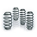 Eibach Pro-kit Lowering Springs E10-15-021-03-22 For Audi, Vw, Seat. Fixed Price $312.00.