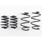 Rs-r TI2000 Down Suspension Springs For Nissan Gt-r 2009+. Fixed Price $432.50.