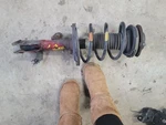 Passenger Right Strut Front Fits 13 Lexus ES300H 2078128. Fixed Price $117.98.