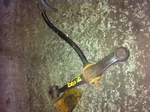 1996 Ford Windstar Rear Leaf Spring. Fixed Price $97.20.
