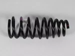 Genuine Mopar Front Coil Spring 4895020AA. Fixed Price $75.96.