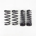 Rs T996S Super Down Springs For 2015-24 Lexus Rc Awd. Fixed Price $314.95.
