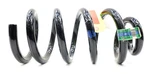 New Oem Ford Rear Suspension Coil Spring JL1Z-5560-C Expedition 2018-2024. Fixed Price $139.95.