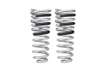Eibach E30 27 006 Set Of Springs. Fixed Price $325.00.