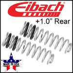 Eibach Pro-lift +1.0" Rear Springs Pair Fits 2009-2018 Dodge Ram 1500 4WD V8. Fixed Price $275.00.