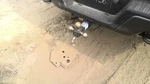 Rear Leaf Spring Crew Cab 145.00" Wb Fits 17-20 Ford F150 Raptor 5177219. Fixed Price $440.50.