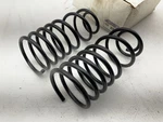 Carquest CC697 Rear Coil Springs. Fixed Price $49.46.