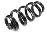 Genuine Oem Front Coil Spring For Saab 93190632. Fixed Price $171.87.