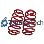 Touring Tech 2" Rear Lowering Coil Springs For 09-18 Ram 1500/19-24 Classic. Fixed Price $134.00.