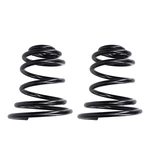 2 Rear Variable Rate Cargo Coil Springs 1985-1987 Buick Somerset & 86 Skylark. Fixed Price $129.99.