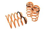 Megan Racing Lowering Coils Springs For Chevy Sonic 2012-2014. Fixed Price $155.00.