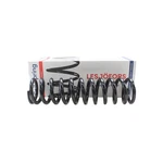 Lesjofors Front Coil Spring 4056817. Fixed Price $101.31.