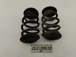 Bmw 318I E36 Sedan Rear Coil Springs Set Fits 1992-1999 93 94 95 96 97 98. Fixed Price $34.93.