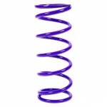 Draco Racing Springs DRA-SR16.100 Conv. Rear 5.0IN Id 16IN Tall 100LB. Fixed Price $245.00.