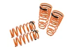 Megan Racing Lowering Coils Springs For Honda Accord 1998-2002 V6 MR-LS-HA98. Fixed Price $163.25.