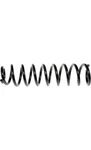 Pair Of Coil Spring Dorman 926-575. Fixed Price $155.00.