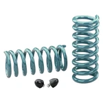 Hotchkis Sport Suspension 1909F Performance Front Springs. Fixed Price $281.99.