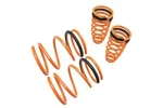 Megan Racing Lowering Springs For 99-03 Mitsubishi Galant MR-LS-MG99. Fixed Price $109.95.