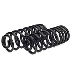 Arnott Rear Air Spring To Coil Conversion Kit C-2988. Fixed Price $261.07.