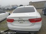 Left Rear Coil/air Spring Oem 17-19 Jaguar Xe 1YR Wrnty T4N12642. Fixed Price $125.00.