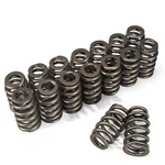 Valve Springs -.600" Lift Rated PAC1218-16 For Gm All LS1 LS2 LS3 Engines. Fixed Price $52.64.