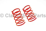 Bmw E9 Front Lowering Spring Set 40 Mm 3.0 Csl 2800CS. Fixed Price $619.99.