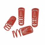 SKUNK2 Racing 519-05-1650 Lowering Springs For Honda Civic/cr-x 88-91 New. Fixed Price $238.29.