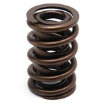 Valve Spring Set PAC-1940-16; Hot Rod Dual Lbs At 1.950 In. 1.555. Fixed Price $366.60.