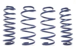 H&r Springs 54796 Special Raising Kit. Fixed Price $302.38.
