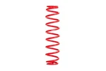 Eibach Coil Spring Single. Fixed Price $99.00.