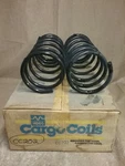 CC202 - Moog Cargo Spring Set Black Pair. Fixed Price $48.13.
