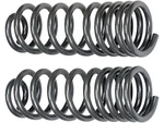 Rear Coil Spring 55VXYJ88 For Ram 1500 2016 2011 2017 2013 2015 2012 2014 2018. Fixed Price $255.54.