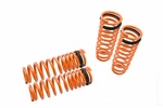 For 92-00 Honda Civic & 94-01 Integra Megan Racing Lowering Coils Springs. Fixed Price $5155.00.
