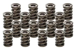 Racing Springs Valve Hr Series (16) PAC-1940-16. Fixed Price $384.29.
