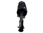 2005 2009 Ford Mustang Suspension Shock Strut Front Right Oem 7R33-18045-AC. Fixed Price $103.49.
