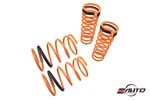 Megan Lowering Springs Drop F: 2.25" R: 2.5" For 3000GT 91-99 Awd. Fixed Price $209.99.