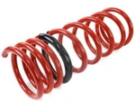 Tanabe TNF170 NF210 Lowering Springs For 13-15 Lexus GS350 Rwd/f Sport. Fixed Price $327.95.