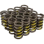 Howards Cams 98213RS Performance Valve Springs, Racesaver. Fixed Price $156.99.