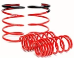 SKUNK2 Racing 519-05-1670 Lowering Coil Spring Set. Fixed Price $251.99.