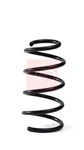 Apec ACS2012 Suspension Spring Front 301MM Length Fits Mini Countryman. Fixed Price $57.92.