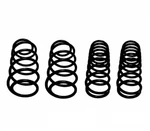 Lesjofors Front Std & Rear Hd Coil Springs Kit Montana Chevy Venture With. Fixed Price $188.95.