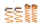 Megan Racing Lowering Coils Springs Subaru Forester 2019-UP. Fixed Price $242.25.