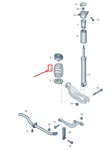 New Audi A5 F5 Rear Coil Spring 8W0511115 Series Genuine. Fixed Price $196.69.