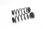 2020-2025 Nissan Sentra Sr Rear Left & Right Side Suspension Coil Spring Set Oem. Fixed Price $50.99.
